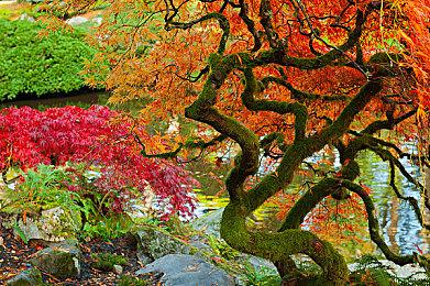 解谜探案游戏《杀死影子》Steam页面上线 明年发售