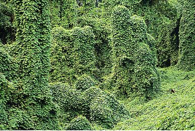 《战锤40K：星际战士2》官方推出90G 4K材质包